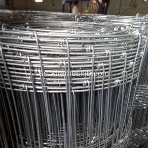 Hot Dip Galvanized Field Fence-Kraal Network Fence